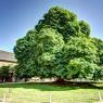 Haras de Rodez 2023