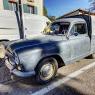 Tracto2022-080