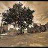 Oradour062