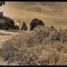 Oradour088