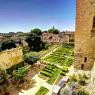 Avignon-043