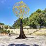Avignon-109