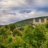 FOIX-004