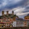 FOIX-008