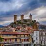 FOIX-010